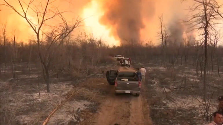 Βολιβία: Υπό έλεγχο οι πυρκαγιές – Πολύ αργά για τα ζώα