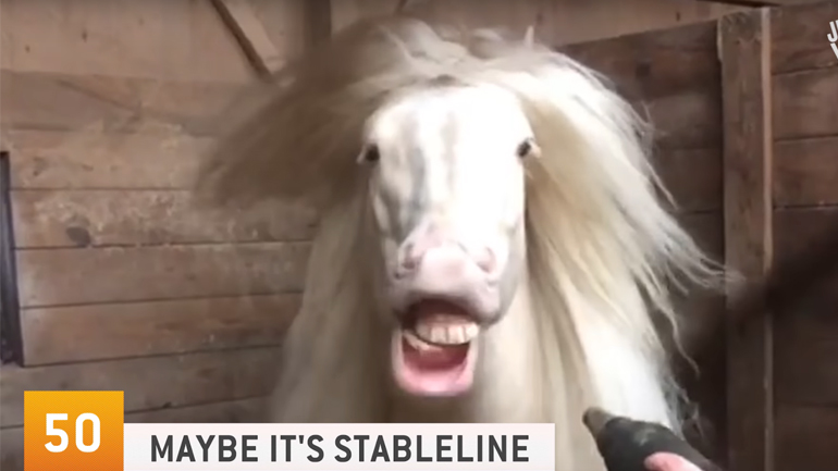 Τα 50 πιο αστεία βίντεο του 2019 μέχρι στιγμής