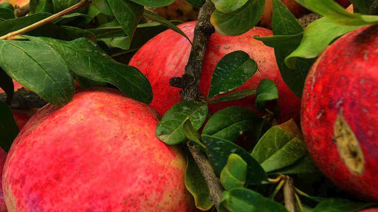 Βιταμίνη C: Η χαρά της επιδερμίδας