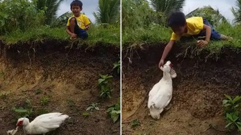 Πάπια επιστρέφει παντόφλα σε ένα παιδί