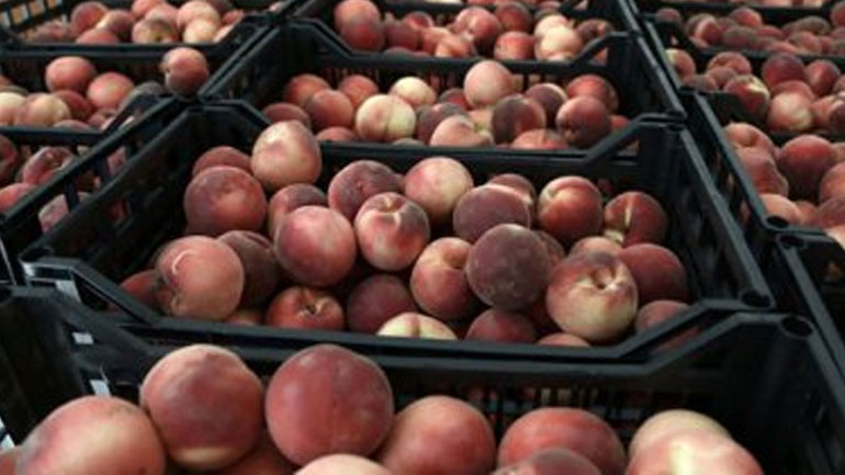 Δεσμεύτηκαν 6 τόνοι φρούτα σε επιχείρηση του Πειραιά