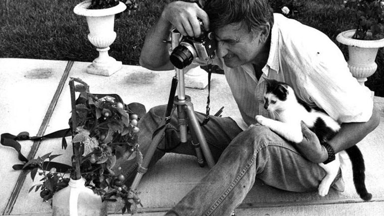 Walter Chandoha: Ο άνθρωπος που επί 70 χρόνια φωτογράφιζε γάτες