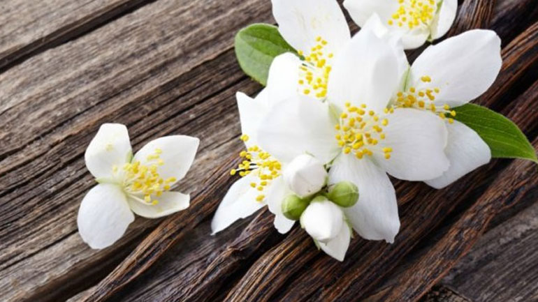 Η αρωματική βανίλια με τις θεραπευτικές ιδιότητες