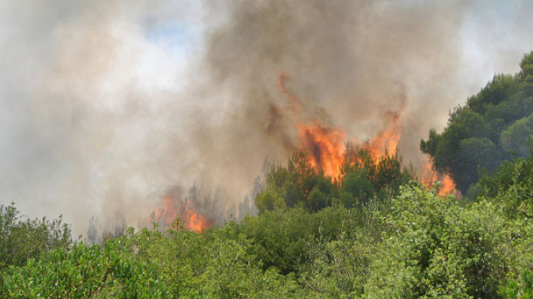 Πολύ υψηλός ο κίνδυνος εκδήλωσης πυρκαγιάς σήμερα – Δείτε τις περιοχές