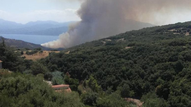 Υπό έλεγχο η φωτιά στη Φωκίδα