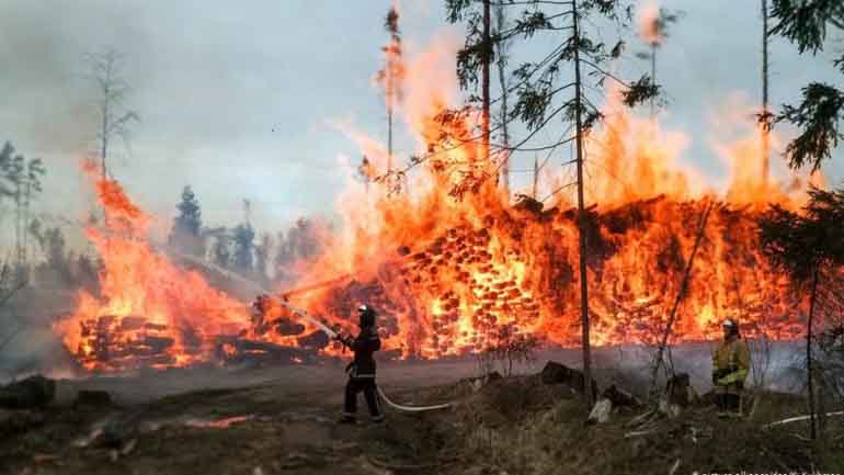 Σε ύφεση η πυρκαγιά στη Δωρίδα – Τριάντα έξι πυρκαγιές σε εικοσιτέσερις ώρες