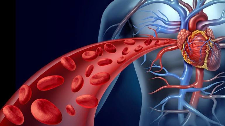 Γιατί οι αρτηρίες πιάνουν ασβέστιο με το πέρασμα της ηλικίας