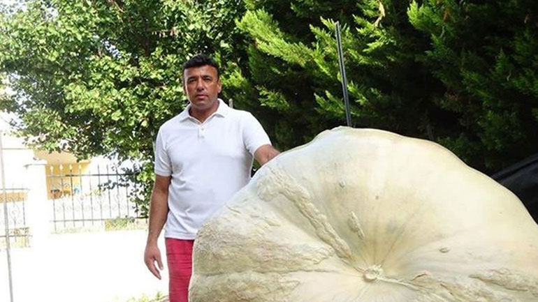 Mια κολοκύθα με βάρος άνω των 650 κιλών!