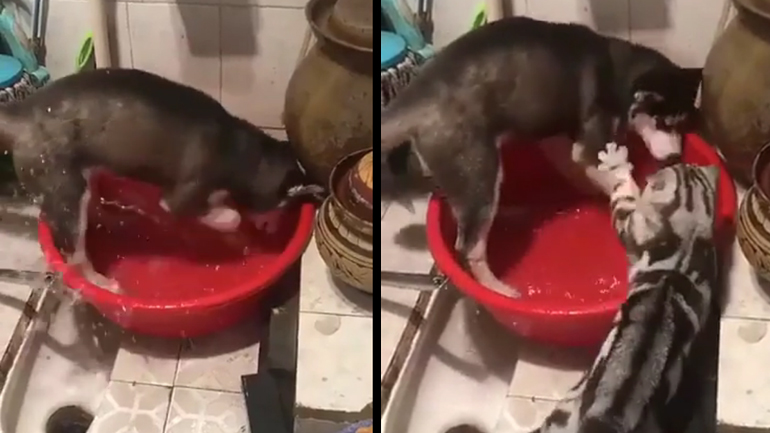 Για σοβαρέψου…