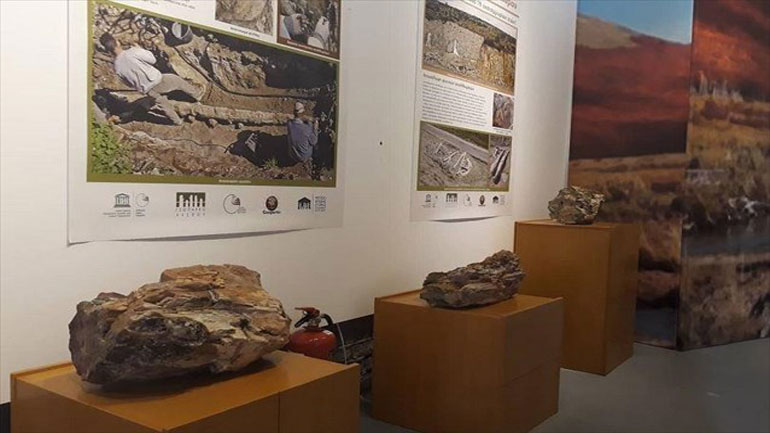 Θεσσαλονίκη: Έκθεση για τα ορυκτά στο Αριστοτέλειο Μουσείο Φυσικής Ιστορίας