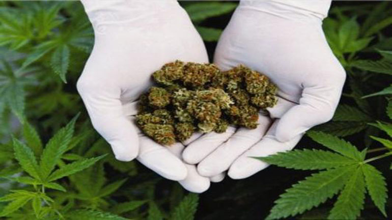 Αμφισβητούμενη η χρήση κάνναβης για τη θεραπεία της διαταραχής μετατραυματικού στρες