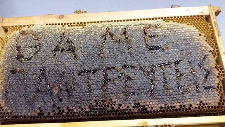 Η πιο… γλυκιά πρόταση γάμου!