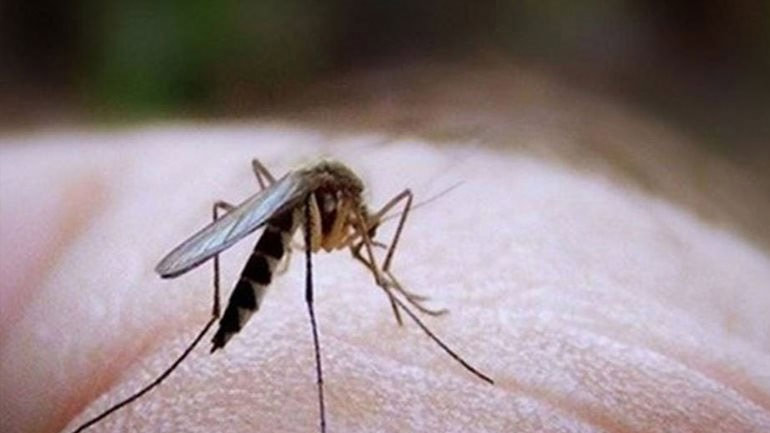 Πρωτοποριακό σύστημα προειδοποίησης για τον ιό του Δυτικού Νείλου