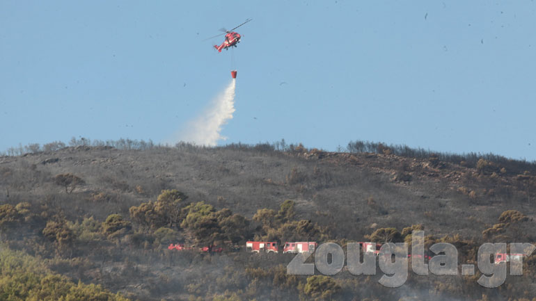 Μαρτυρία για τη Ν. Μάκρη:  Σίγουρος εμπρησμός – Είδαν ένα Ι.Χ. και ένα μηχανάκι με 6-7 άτομα