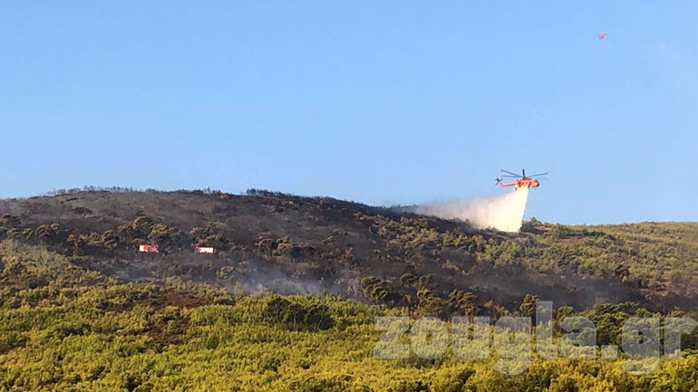 Καμένη γη στη Νέα Μάκρη