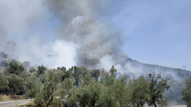 Ανατολική Μάνη: Σε εξέλιξη πυρκαγιά στον Καρβελά