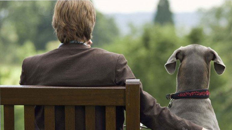 Τα συναισθηματικά οφέλη της παρέας με σκύλο