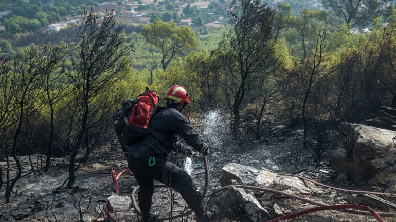 Σε ύφεση η φωτιά που ξέσπασε σε δασική έκταση στα Λαγκαδάκια Ζακύνθου