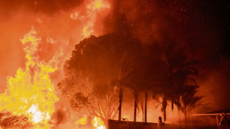 Αυστραλία: Μεγάλες δασικές πυρκαγιές μαίνονται στις Πολιτείες Κουίνσλαντ και Νέα Νότια Ουαλία