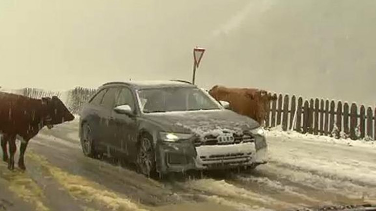 Έπεσε το πρώτο χιόνι στην Αυστρία