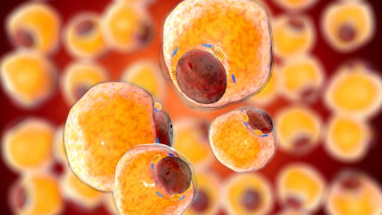 Γιατί οι άνθρωποι κερδίζουν βάρος καθώς μεγαλώνουν