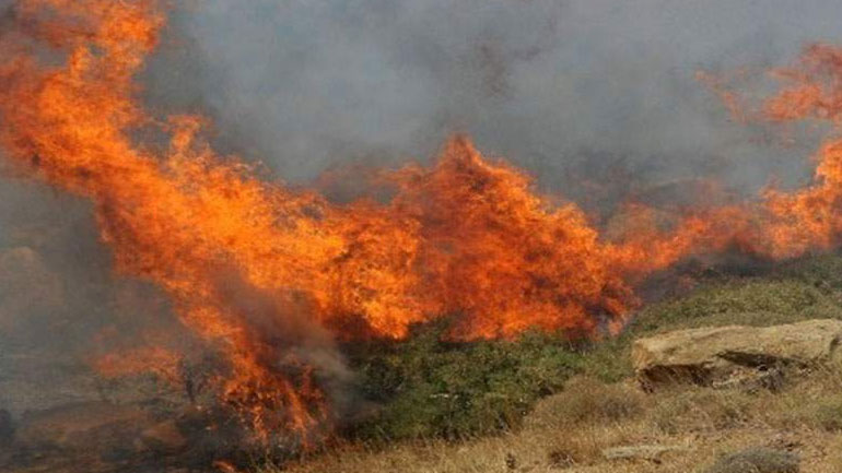 Σε εξέλιξη φωτιά στον Αλμυρό Μαγνησίας