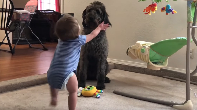 Εκπαίδευση μωρού