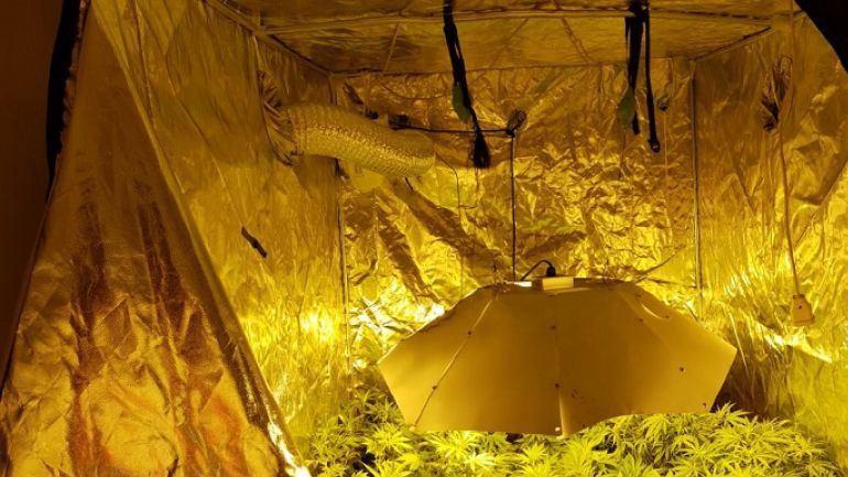 Θεσσαλονίκη: Μετέτρεψε διαμέρισμα σε εργαστήρι υδροπονικής καλλιέργειας κάνναβης