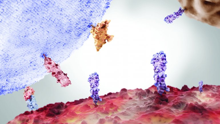 Atezolizumab: Η πρώτη ανοσοθεραπεία που έλαβε ευρωπαϊκή έγκριση για ασθενείς με τριπλά αρνητικό καρκίνο του μαστού