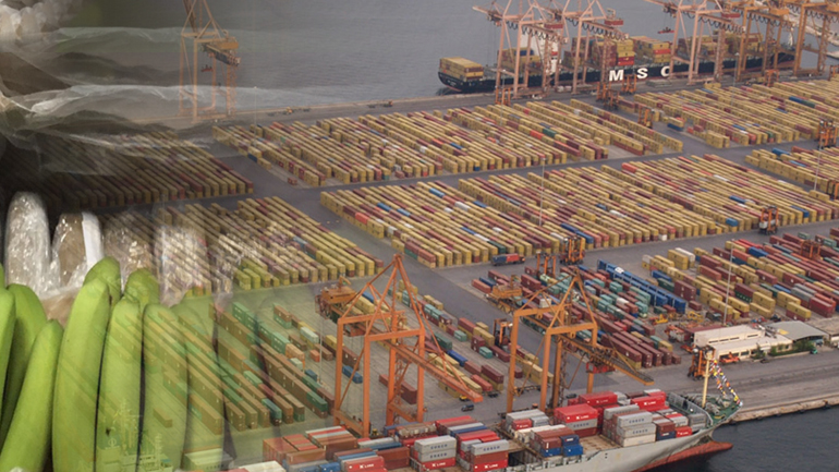 Οι μπανάνες από το Εκουαδόρ έκρυβαν… εκατοντάδες κιλά κόκα