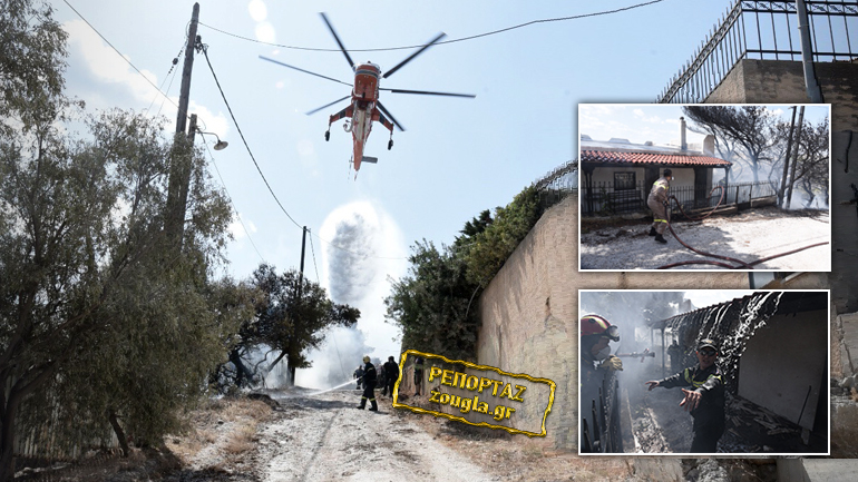 Σε ύφεση η φωτιά στο Λαγονήσι