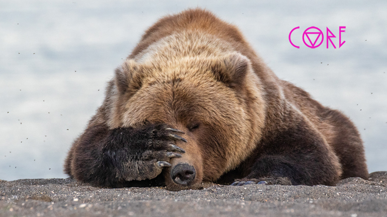 Όταν η άγρια ζωή απαθανατίζεται την κατάλληλη στιγμή