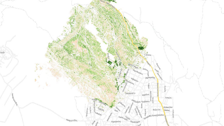 Με ενισχύσεις από αέρος ο Δήμος Ωραιοκάστρου προσπαθεί να σώσει το περιαστικό άλσος πεύκων