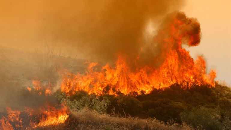 Θεσσαλονίκη: Μία σύλληψη για τη φωτιά στο Σέιχ Σου