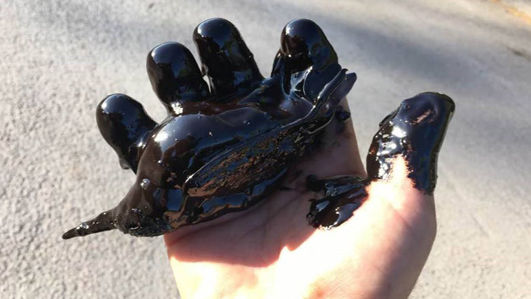 WWF για το ναυάγιο του «Αγία Ζώνη ΙΙ»: Ένα περιβαλλοντικό έγκλημα χωρίς τιμωρία ακόμα