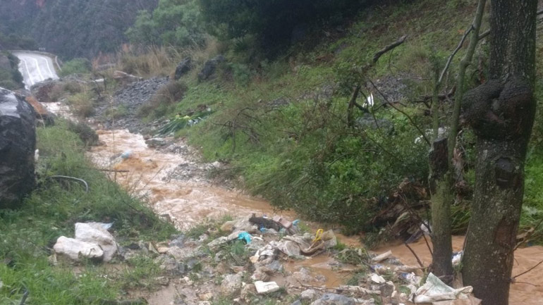Η Νέδουσα βιώνει οικολογικό έγκλημα