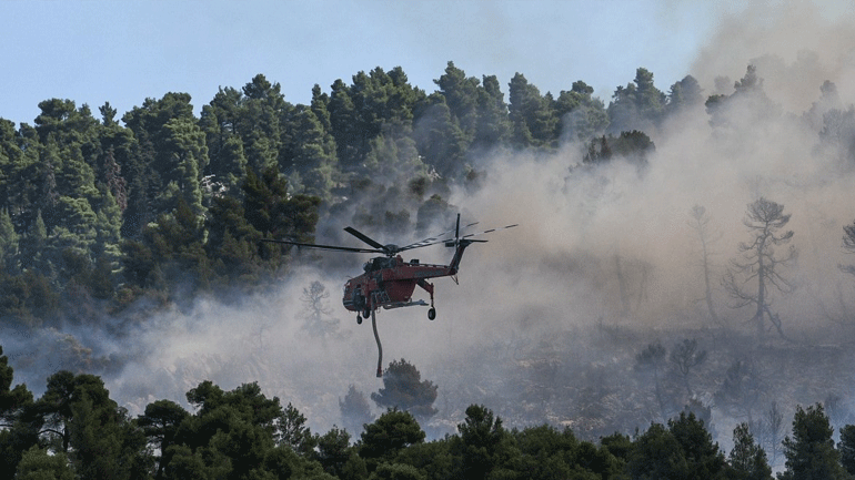 Φωτιά σε δασική έκταση στην Ηλεία