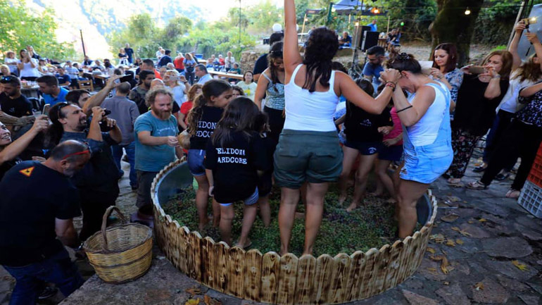 Έρχεται το ολοήμερο Φεστιβάλ Τρύγου στη Χελιδόνα Ευρυτανίας