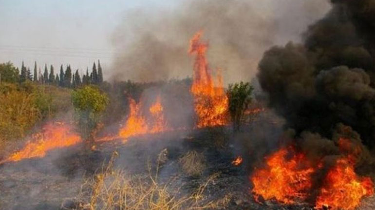 Σε εξέλιξη φωτιά στην Κέρκυρα