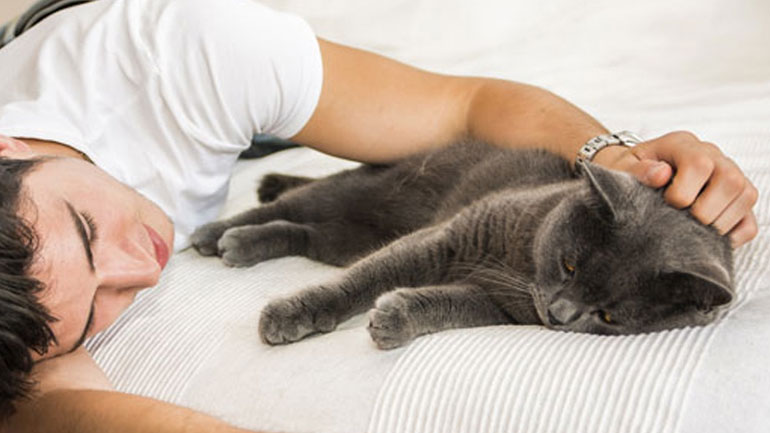 Γιατί οι γάτες ξυπνάνε μέσα στη νύχτα;