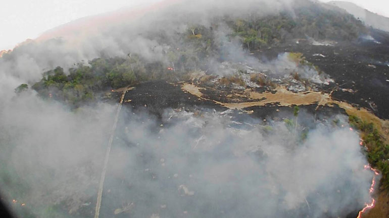 Αμαζόνιος: Οι μαφίες του τροπικού δάσους