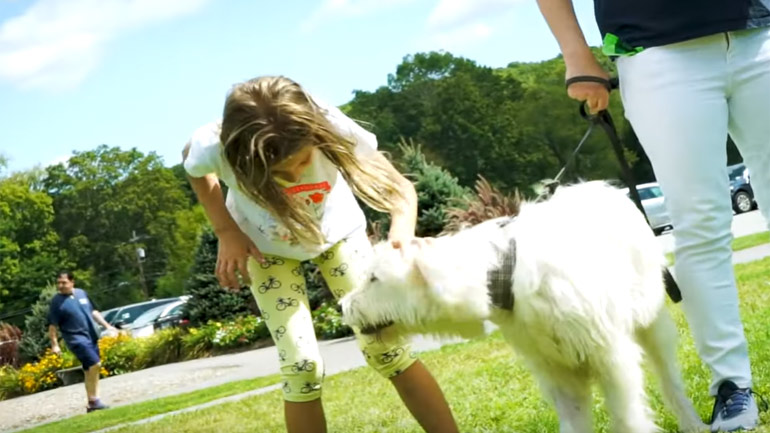 Πού κατέληξε τελικά ο “Χάτσικο” της Ναυπάκτου;