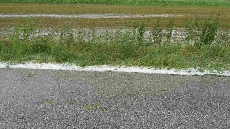 Τρίκαλα: Καλλιέργειες χιλιάδων στρεμμάτων καταστράφηκαν από το χαλάζι