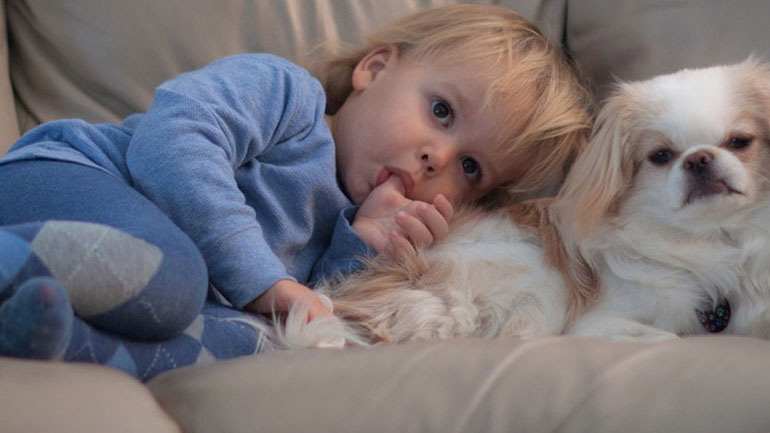 Κατοικίδια και μωρά: Μύθοι και αλήθειες