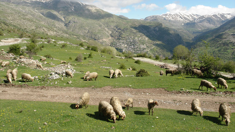 Σχέδιο αξιοποίησης όλων των μόνιμων βοσκοτόπων για τη στήριξη της κτηνοτροφίας