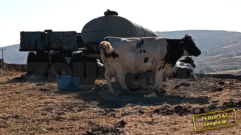 Nέες εικόνες ντροπής στην Πάρο