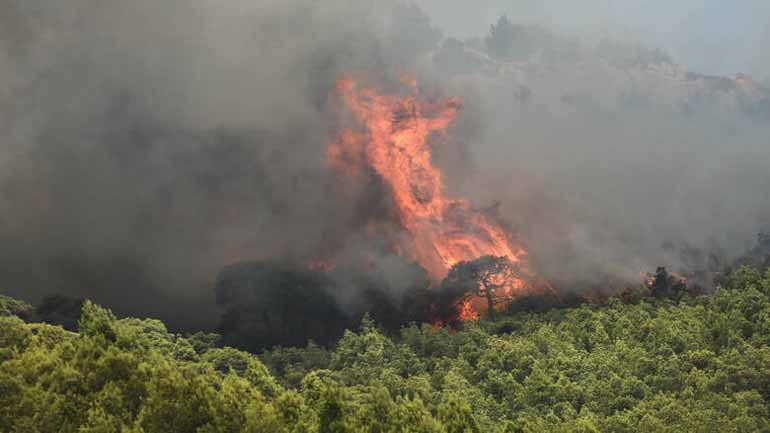 Πυρκαγιά στο Αγιονόρι Κορινθίας