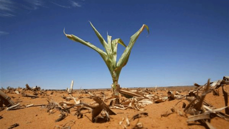 Κολοσσοί του αγροδιατροφικού τομέα συνασπιζονται για να προστατεύσουν τη βιοποικιλότητα