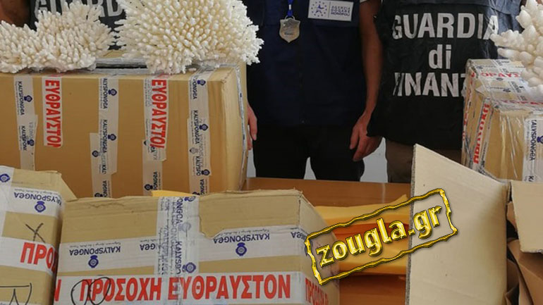 Παράνομο εμπόριο κοραλλιών από την Ελλάδα μπλόκαραν οι Ιταλοί