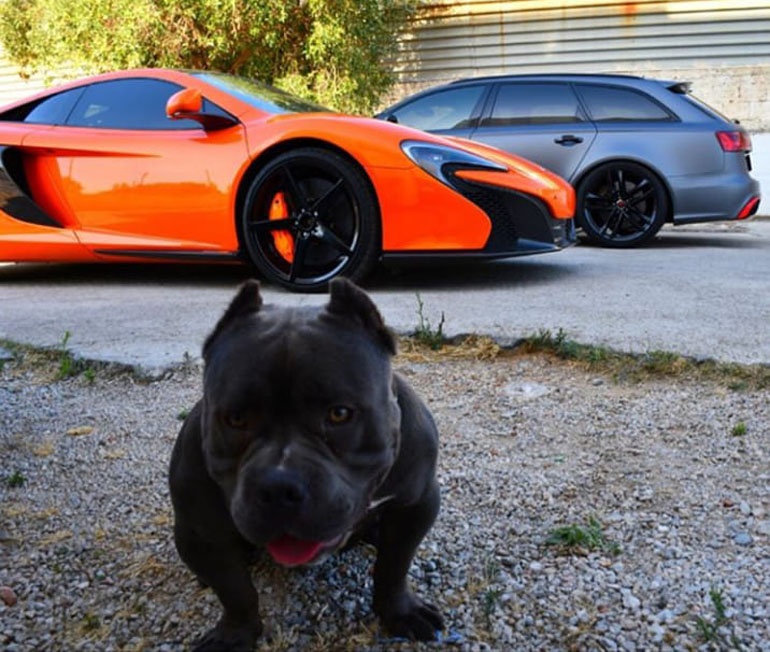 Δύο (ή... τρία) τερατάκια της xtreme tuners